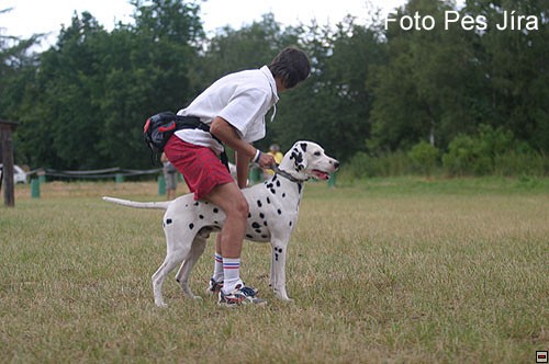 img00011.jpg