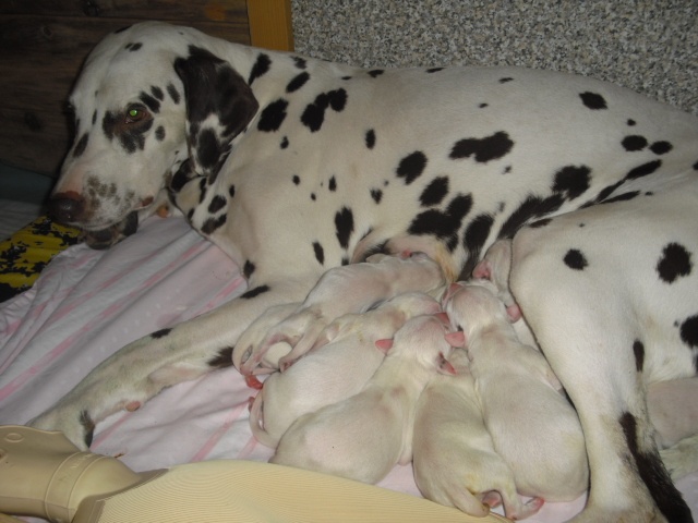mamka s detma 1.jpg