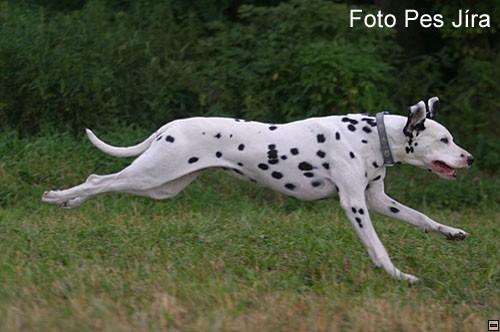 img00021.jpg