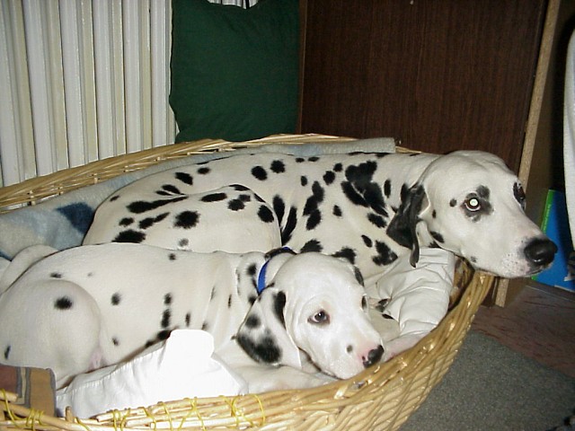 img00001.jpg